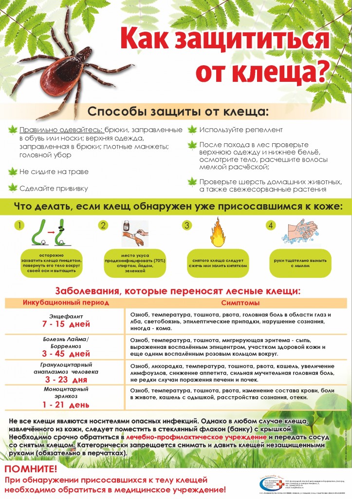 Клещ Э Вак Или Энцевир Что Лучше